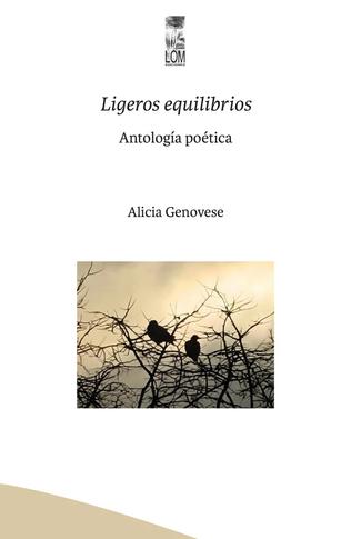 Ligeros equilibrios
